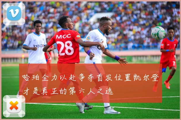 哈珀全力以赴争夺首发位置凯尔登才是真正的第六人之选